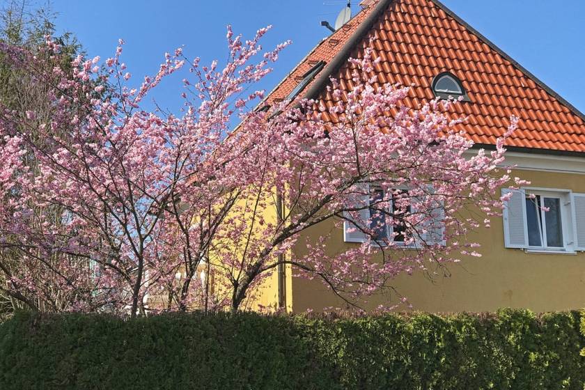 MUC00020150741868956