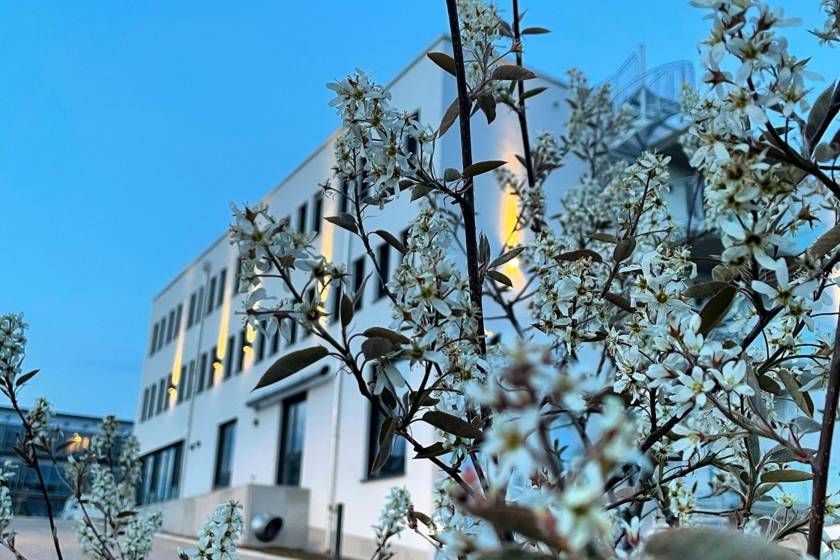 MUC00020150663138529