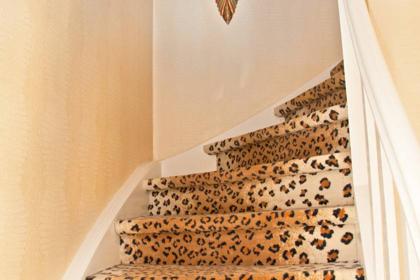 MUC00020150741776096