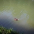 Ente in einem See in München.