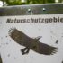Ein Straßenschild, das auf ein Naturschutzgebiet in München hinweist.