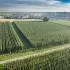 Hops fields with tall plants in Hallertau seen from a bird's-eye view; a village can be seen in the background, and a cycle path runs between the hops fields, with two cyclists riding along it.