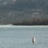 Windsurfisti sul lago Walchensee nella periferia di Monaco.