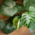 Viele Details wie tropische Pflanzen verschönern das Yogastudio „Kale & Cake“.