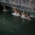 Menschen halten sich an einer Brücke über dem Eisbach in München fest.