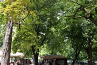 Menschen sitzen im Hirschgarten (Biergarten) in M&uuml;nchen.
