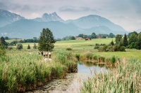 The summery Hopfensee in the Allg&auml;u with cyclists and mountains in the background.