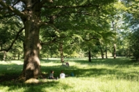 Zwei Frauen sitzen unter einem Baum in M&uuml;nchen.