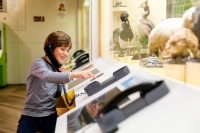 A boy is dialling a number on a phone at Museum Mensch und Natur in Munich.