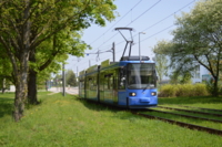 Eine Stra&szlig;enbahn der MVG f&auml;hrt durch das gr&uuml;ne M&uuml;nchen