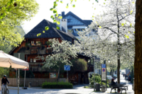 Der Kriechbaumhof in M&uuml;nchen im Fr&uuml;hlung