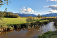 Eine Ansicht des Murnauer Moos im S&uuml;den von Murnau bei sonnigem Wetter mit Bachlauf und Bergen im Hintergrund