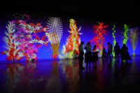 Eine Lichtshow mit Blumen in der Kunsthalle in M&uuml;nchen.