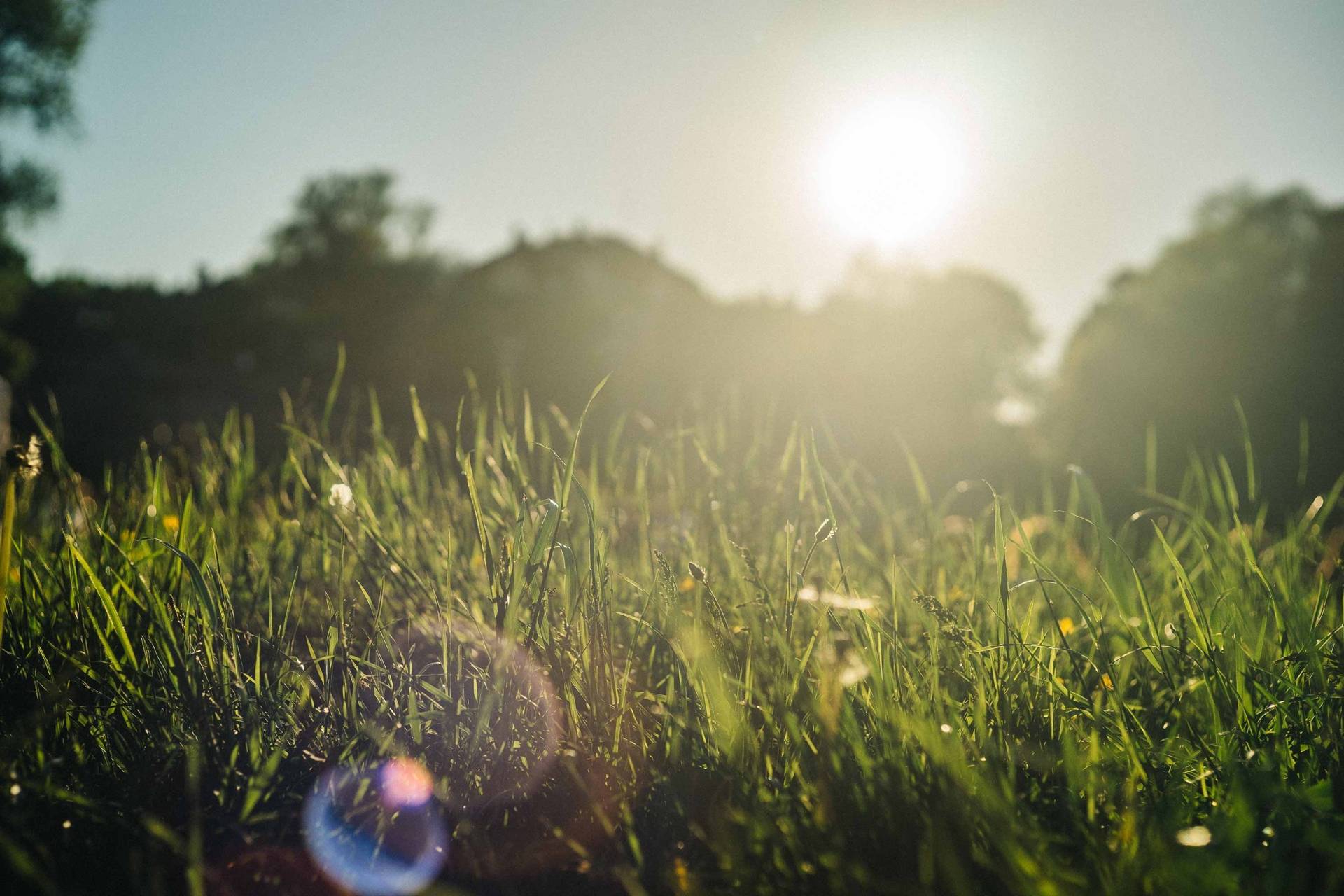 Spring in Munich | simply Munich