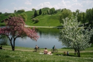People are sunbathing by the lake beneath blossoming trees in Munich’s Olympic Park.