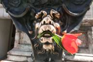 Eine Löwenskulptur vor der Residenz in München hat eine rote Tulpe in seinem Maul.