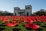Kunstinstallation: 3200 überdimensionale Mohnblumen auf dem Königsplatz in München