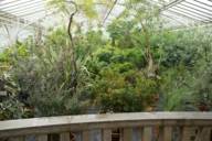 Von einem Balkon aus überblickt man verschiedene Pflanzen im Botanischen Garten in München
