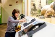 Ein Junge h&ouml;rt sich die Audiobeschreibung eines Ausstellungsst&uuml;cks im Museum Mensch und Natur in M&uuml;nchen an.
