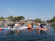 Eine Gruppe Menschen macht Yoga-Übungen auf ihren SUPs am Starnberger See.