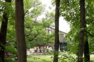Blick durch grüne Laubbäume auf die Braunauer Eisenbahnbrücke über die Isar in München
