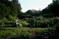 Eine Person die am Rosengarten in München auf einer Bank ein Buch liest.