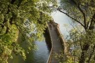 View through the green foliage onto the wooden walkway between Isar and Isarkanal.