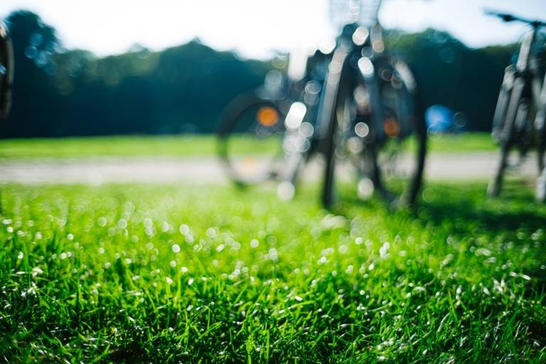 Fahrräder stehen im grünen Gras im Englischen Garten in München