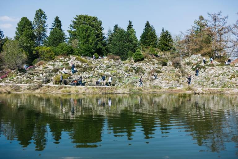 Besuche spazieren an einem See im Botanischen Garten in München
