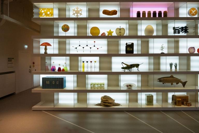 Eine Vitrine mit vielen Naturwissenschaftlichen Teilen