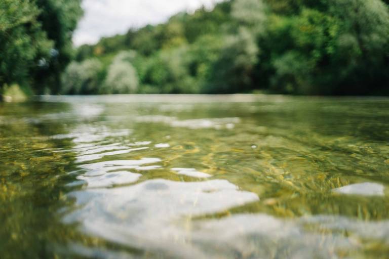 Close-up of the water surface of the Isar with densely wooded banks.