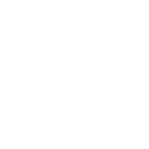 Violin white