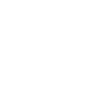 Haus weiss
